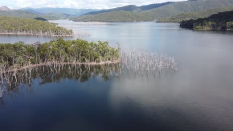 flying over water over some dry trees, green hills in the background