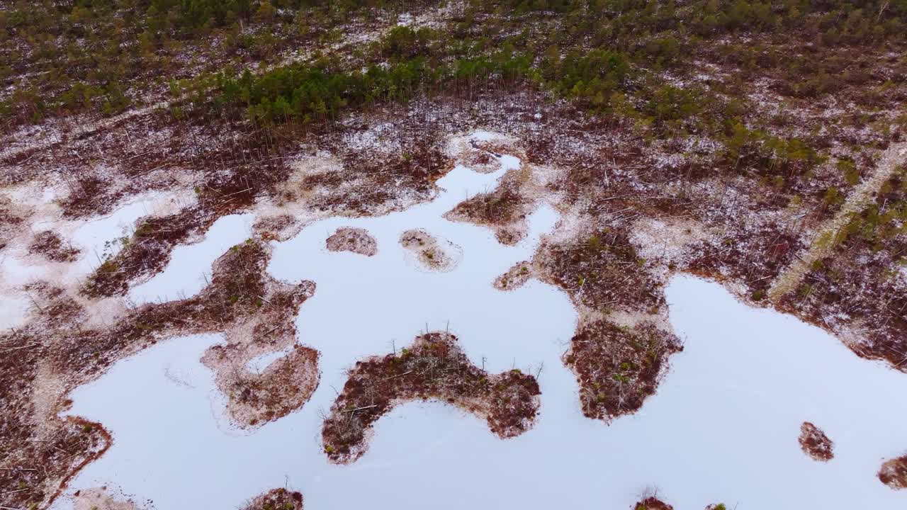Panorama aerea con drone che mostra pozze di torbiera ghiacciate e pattern organici, Cenas Tīrelis, Lettonia