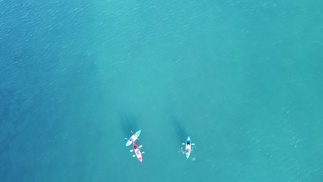 top down view of kayaks