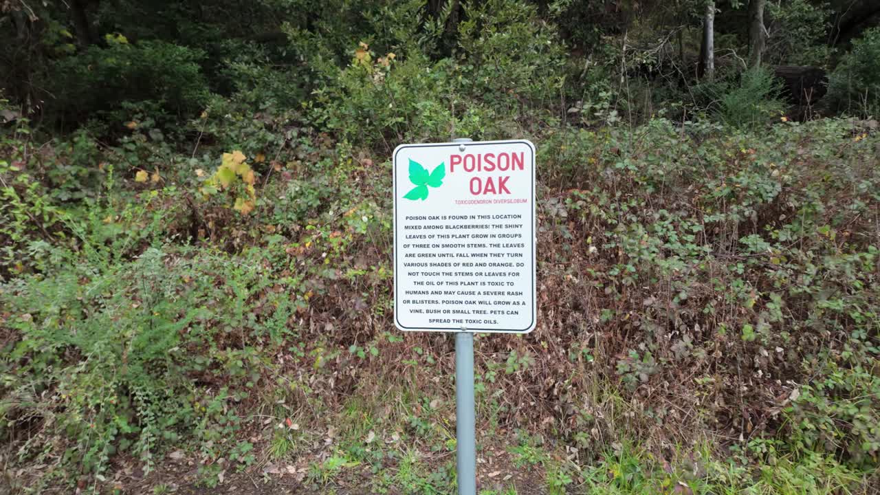 Gimbal wide panning shot of signage warning of poison oak in the forests of Northern California. 4K