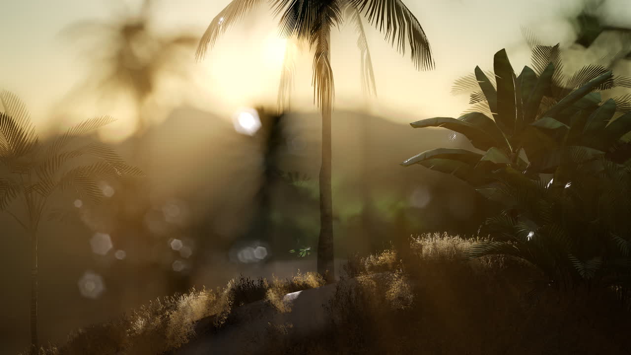 palmeras de coco paisaje tropical