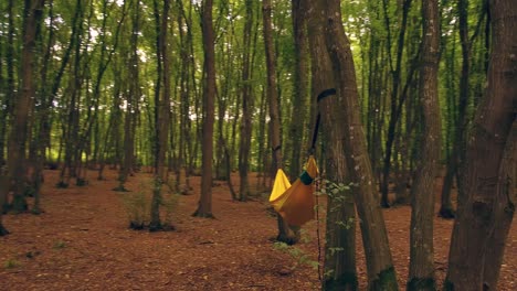 glide cam circles a girl smiling in a hammack in the woods