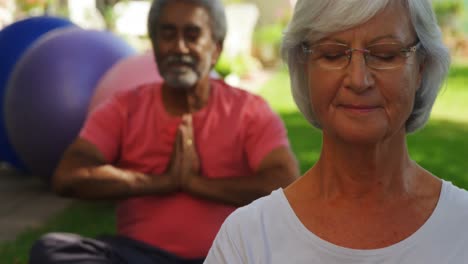 senior friends performing yoga in garden 4k