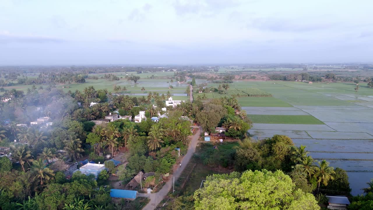 Aerial view of vibrant rural life in India. A winding road cuts through a lush village, densely populated with homes and abundant palm trees. On either side, vast green agricultural fields
