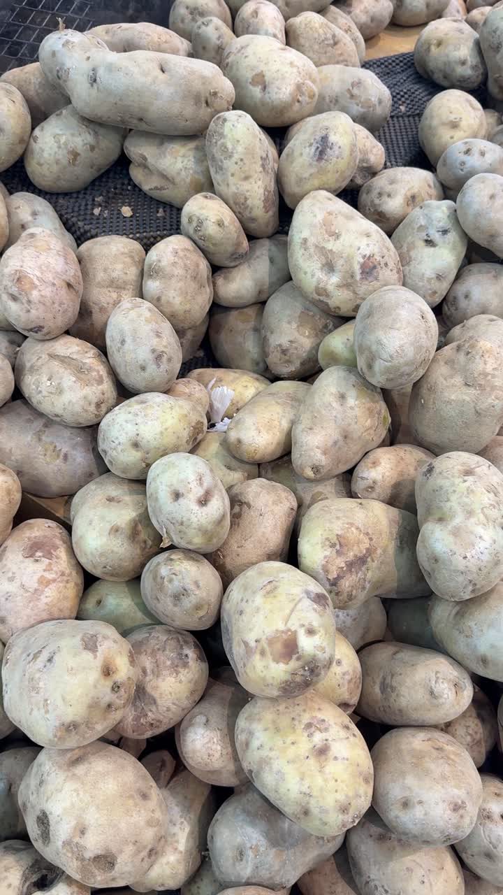 Primo piano di patate fresche e crude in un mucchio.