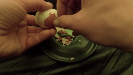 peeling a boiled egg shell off by hand, nutritious food from chicken hen bird