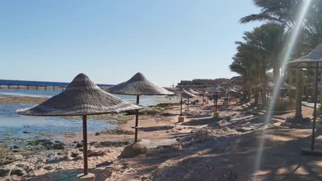 Muchas-Sombrillas-De-Paja-En-Una-Playa-De-Arena-Cerca-Del-Mar-Rojo,-Vacaciones-En-La-Playa.