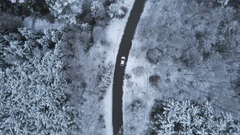 Vista-De-Drones-De-Arriba-Hacia-Abajo-De-Un-Auto-Blanco-Conduciendo-A-Través-De-Un-Bosque-Cubierto-De-Nieve-En-El-Distrito-De-Kashubian,-Polonia