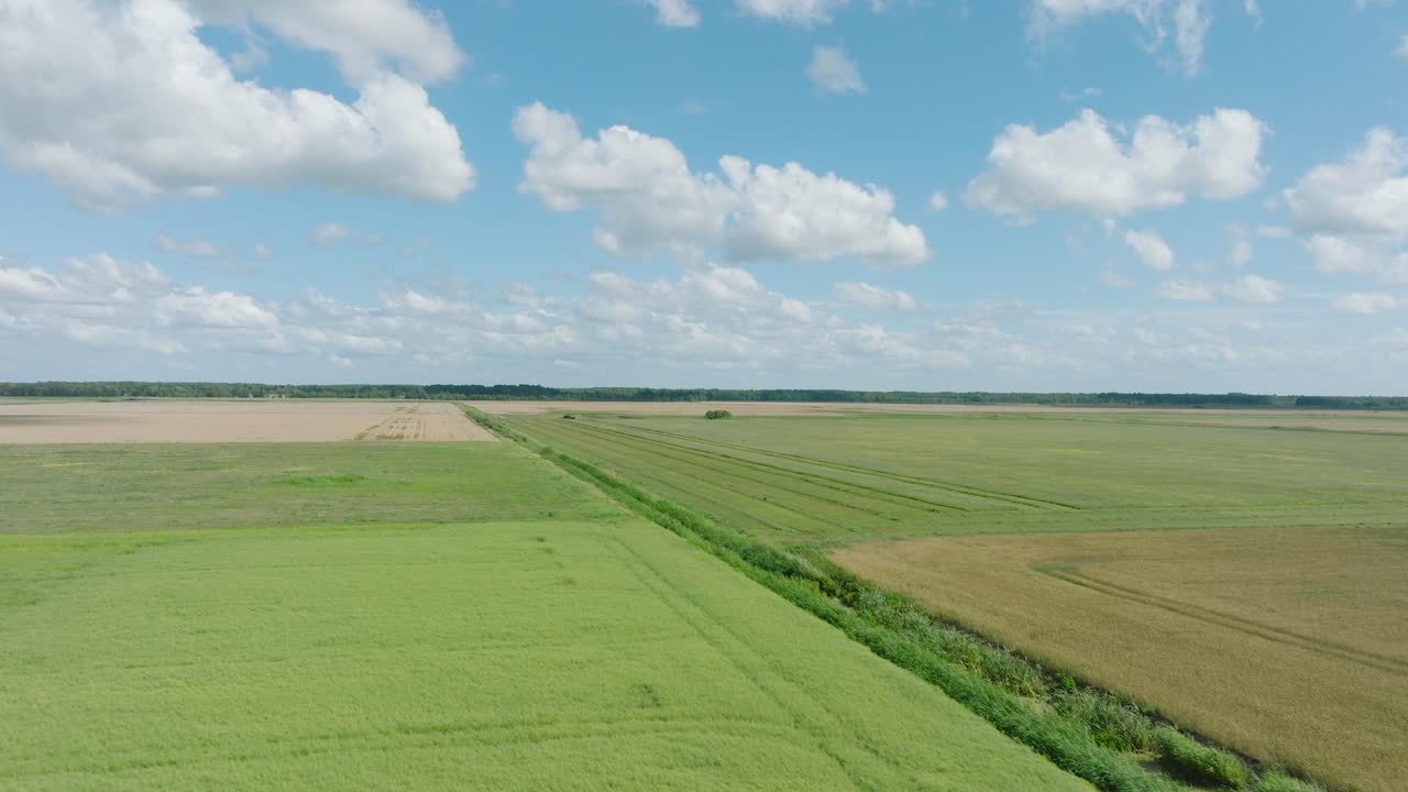 vista aérea de un tractor cortando un campo de hierba verde fresco, un agricultor en un tractor moderno preparando comida para animales de granja, día soleado de verano, tiro de dron ancho moviéndose hacia adelante