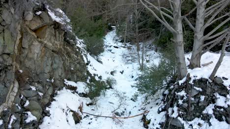 Luftaufnahme-Durch-Schneebedeckten-Wald