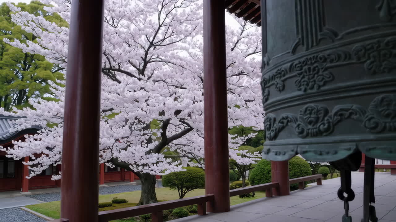 Cherry Blossoms at a Japanese Temple