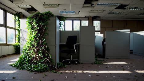 abandoned office space overgrown with plants