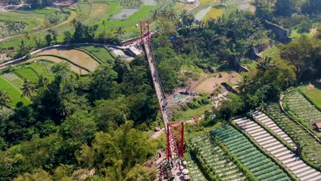 rural landscape of central java and jokowi bridge, indonesia, aerial view