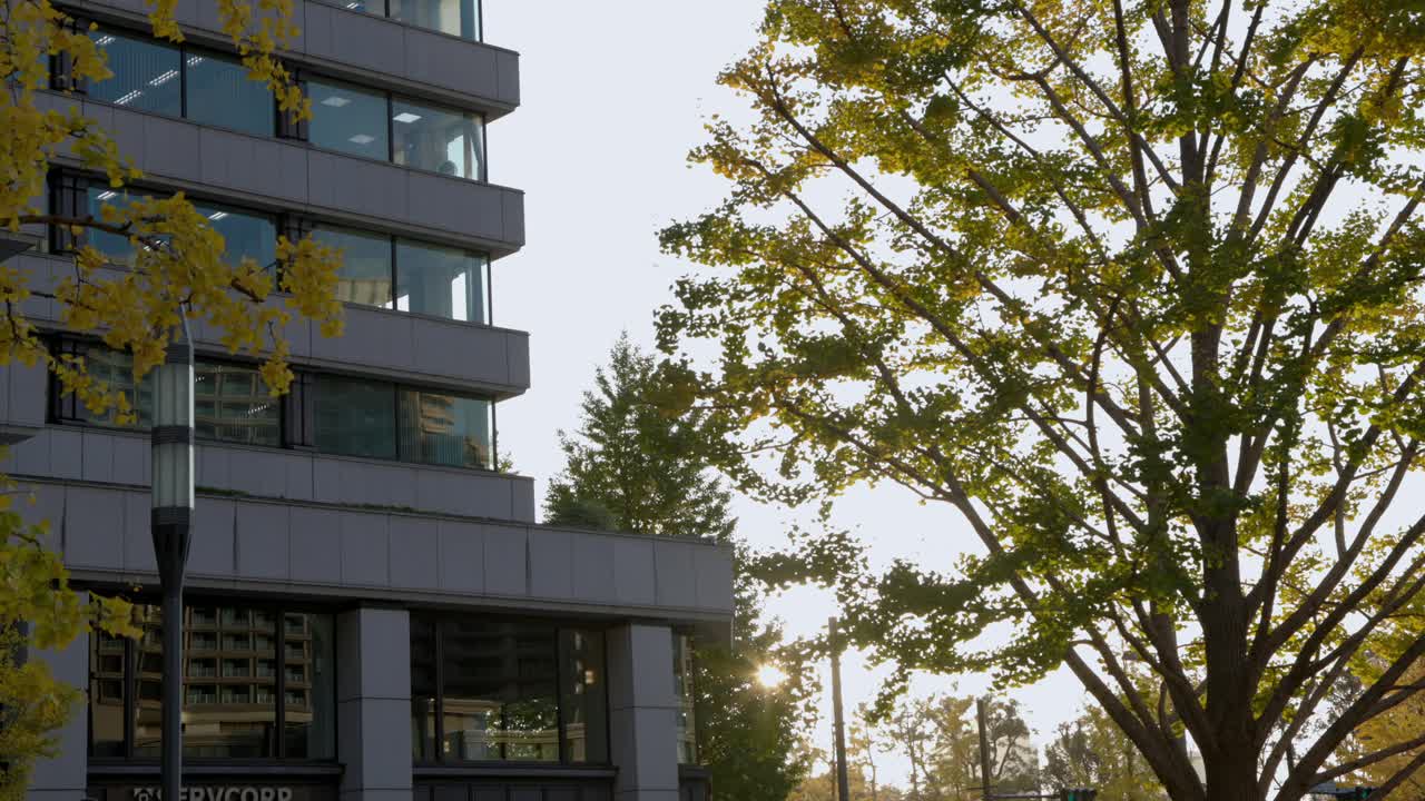 The best views in Tokyo