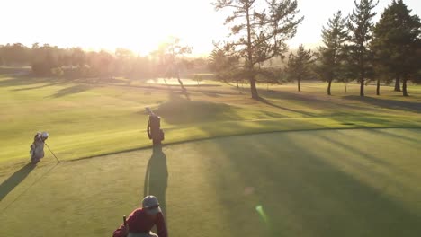 two diverse male golf players playing golf at golf course on sunny day