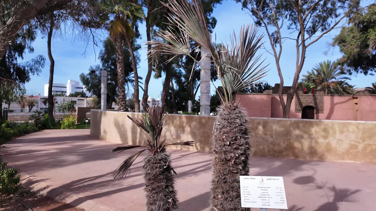 Olhao garden jardin Agadir Morocco public park nature North Africa tourist attraction