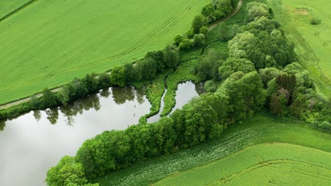 an aerial view of the lush meadow and an overgrown stream bed