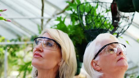 female scientists checking plants