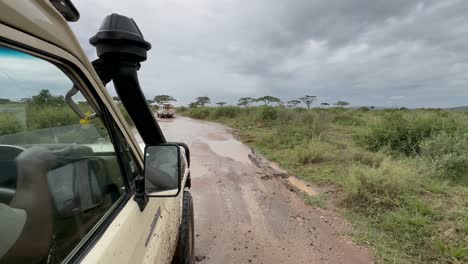 vista desde un coche de safari conduciendo a través de un gran charco en el parque nacional serengeti, tanzania.