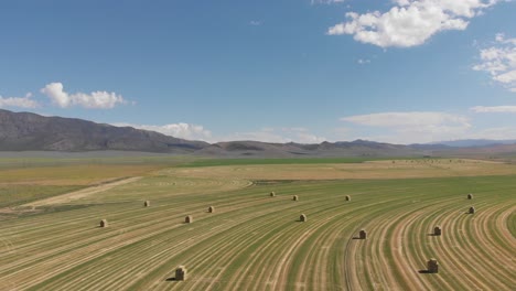 aerial footage of a hay field