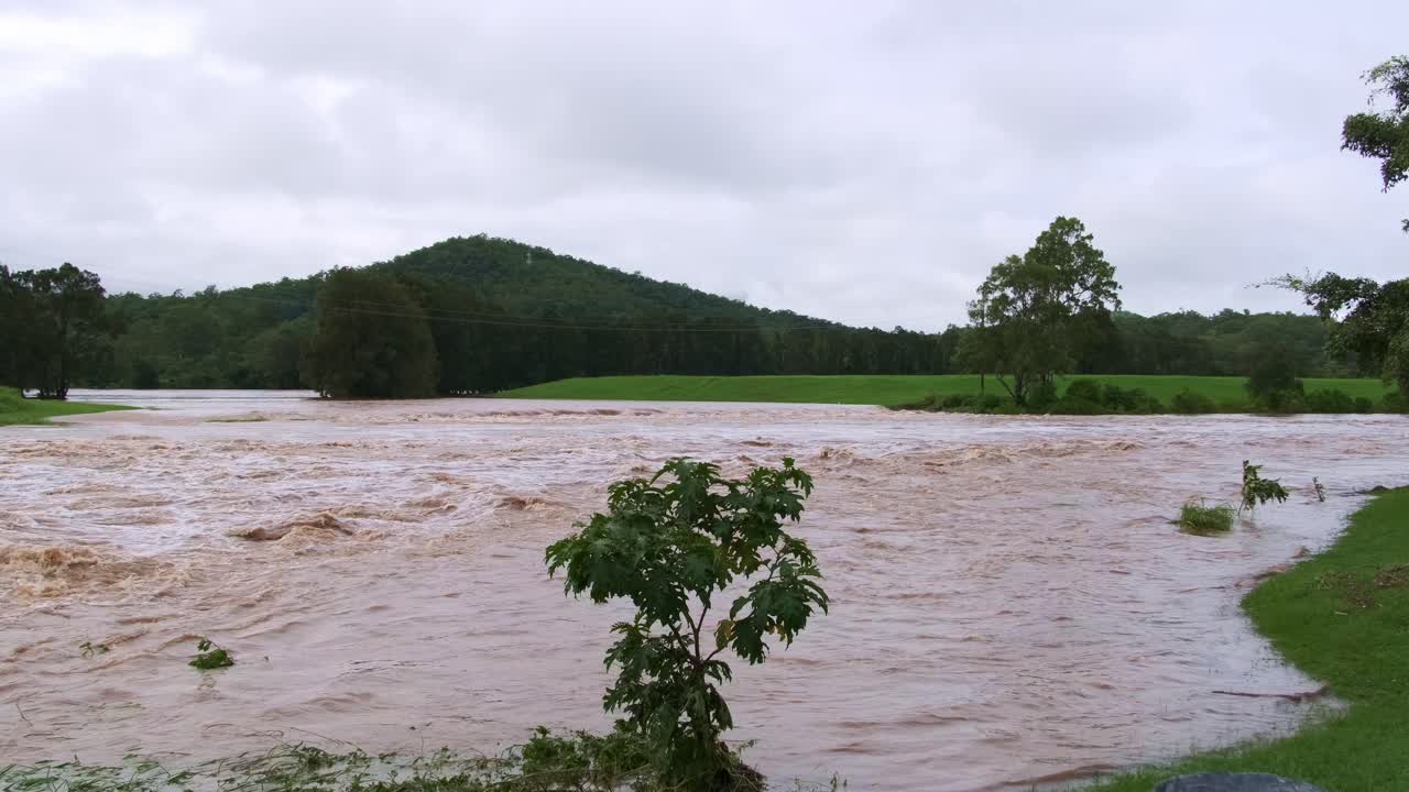 Wide shot of a flooded river on the Gold Coast, Queensland, Australia. Brown, fast-flowing water contrasts with green grass and trees lining the edges, showcasing nature’s power.
