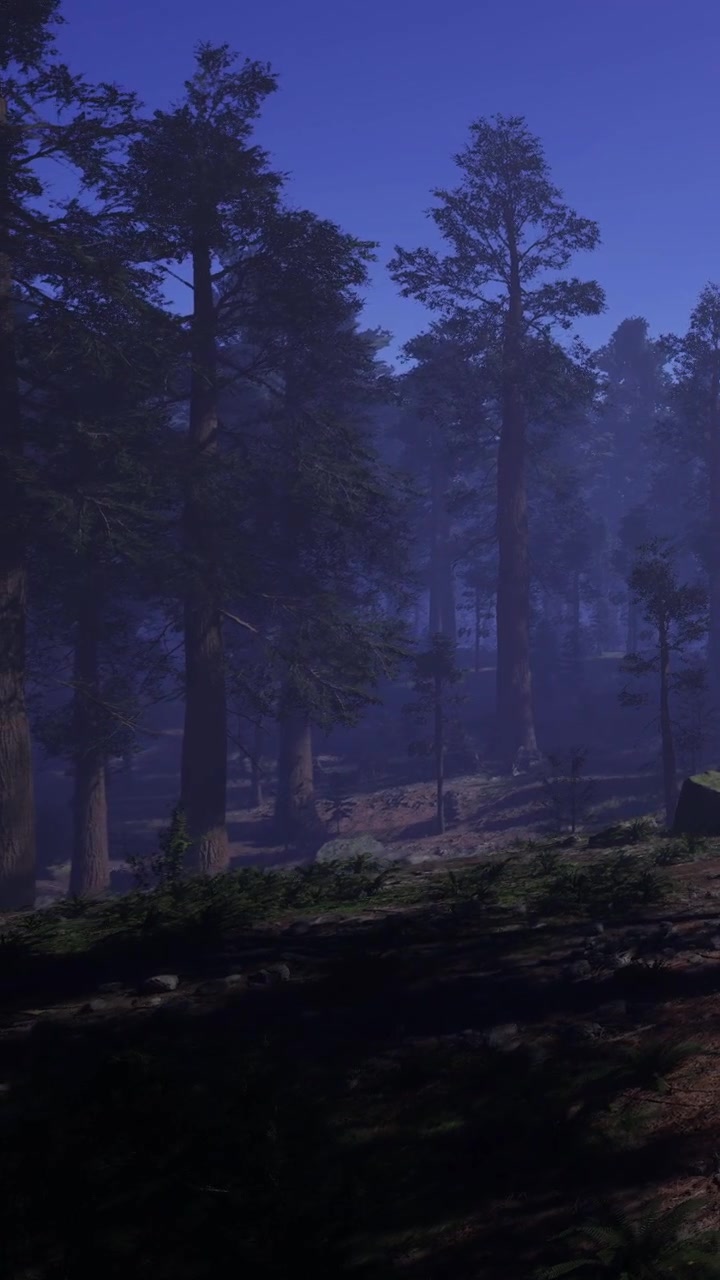 L'alba illumina una scena di foresta con alberi alti e nebbia.