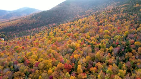 fall colors in new england forest and mountains - aerial view