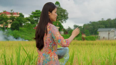 young female woman farmer in asia sowing rice seeds in agricultural field plantation