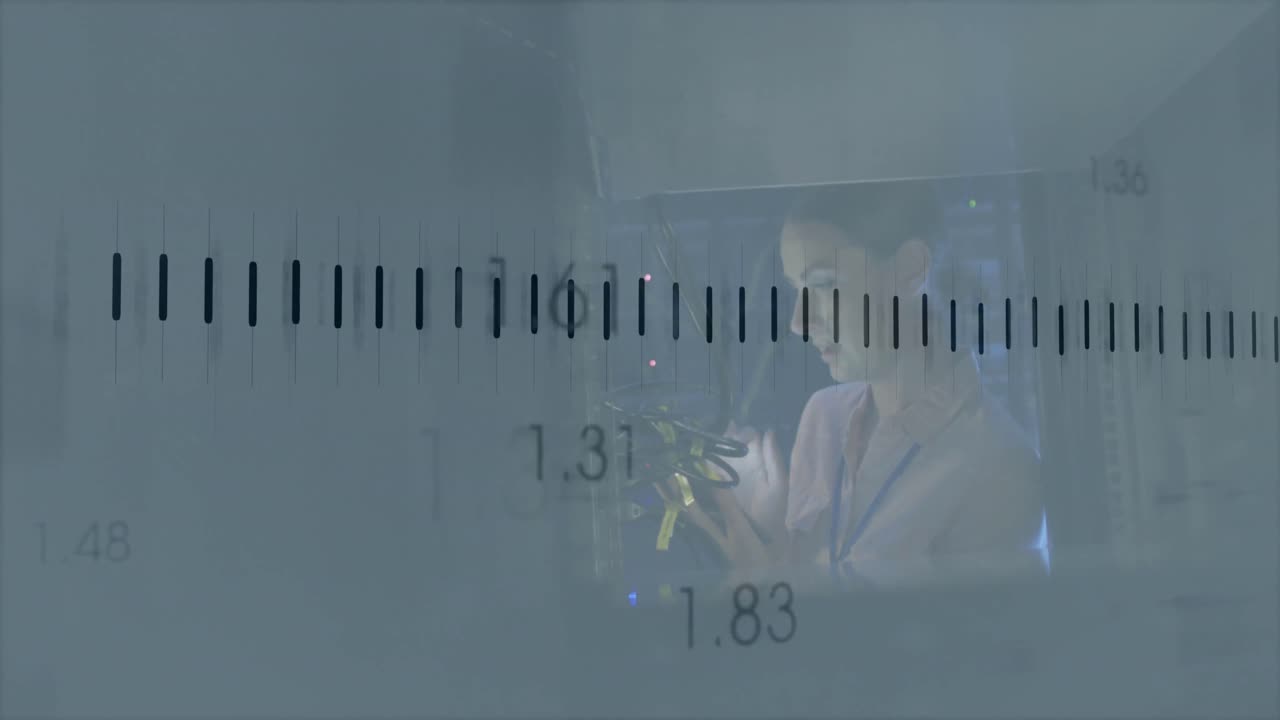 서버  ⁇ 에서 백인 여성에 대한 금융 데이터 처리 애니메이션