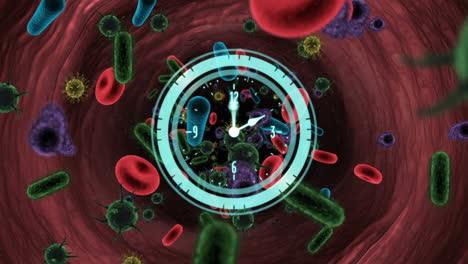 animation of clock and circular scanner rotating over covid 19 cells and blood cells