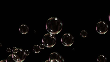 soap bubbles isolated on black background, seamless loop 4k 3d render