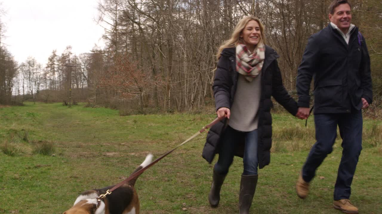 familia de cuatro con perro de mascota caminando en el bosque, filmado en r3d