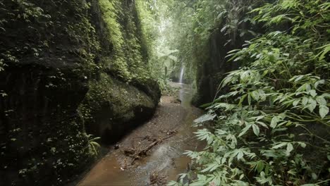 mirando hacia un cañón estrecho a una pequeña cascada con una exuberante vegetación que crece en las paredes rocosas