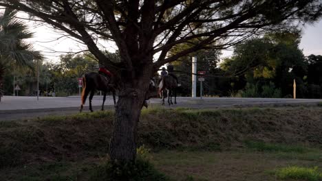 Tracking-shot-of-horseriders-out-a-walk-from-inside-a-car