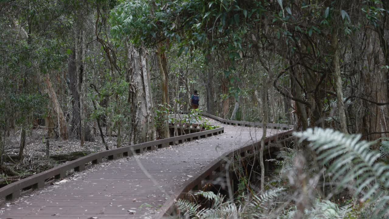 여성 배 여행자 골드 코스트, 오스트레일리아 공원, 자연