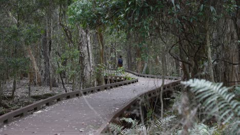 female backpacker traveller walking in gold coast, australia park, nature