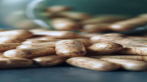 close-up of brown capsules