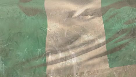 Digital-composition-of-waving-nigeria-flag-against-close-up-of-crops-in-farm-field