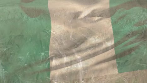 digital composition of waving nigeria flag against close up of crops in farm field