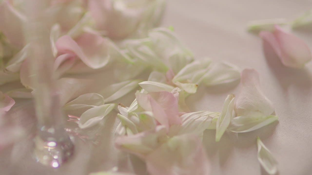 Close-up of Exhaust Pipe on Vintage Car