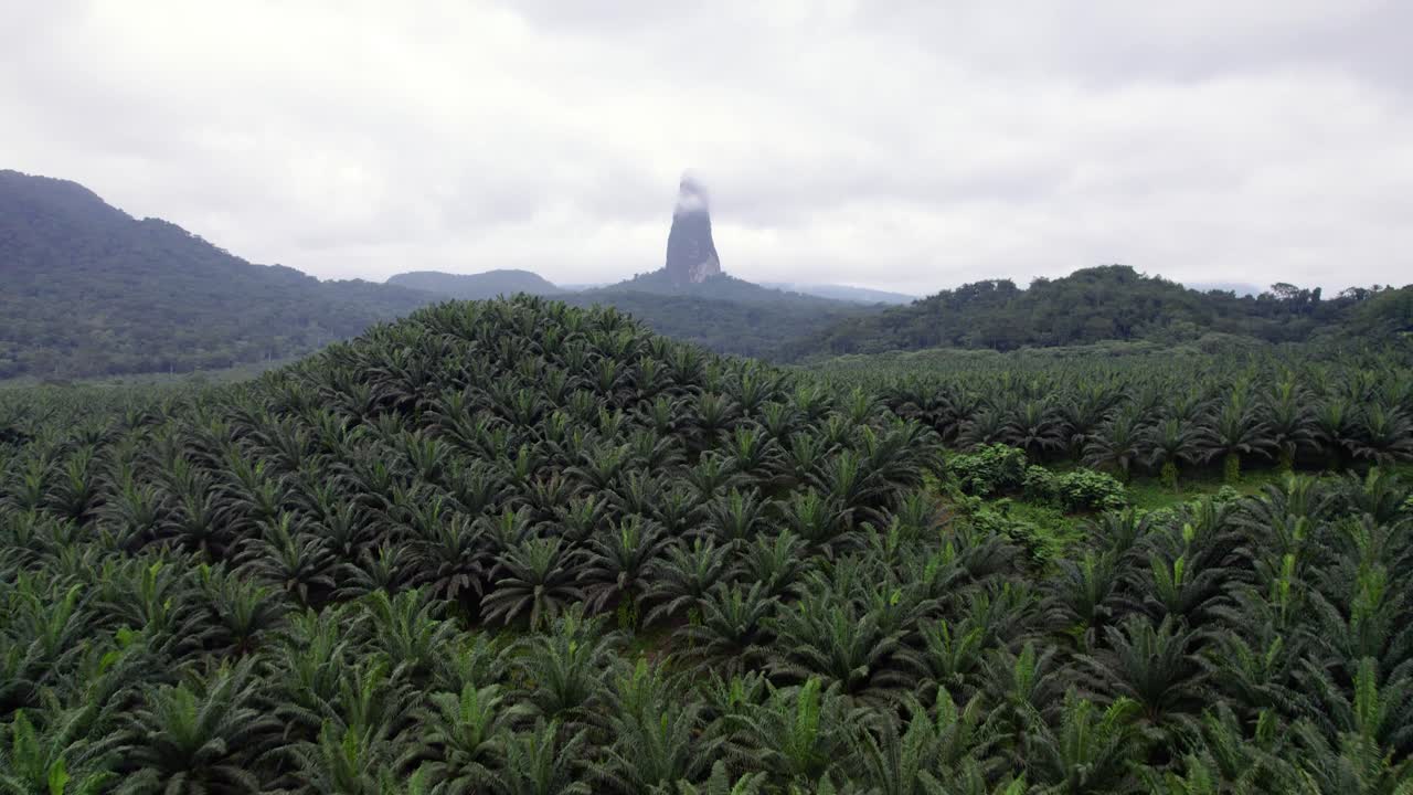 Pico Cão Grande, São Tomé — a dramatic volcanic plug rising from lush rainforest in Obô Natural Park, an iconic African landmark