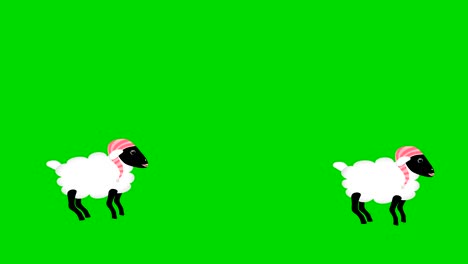 counting sheep jumping on green screen chromakey