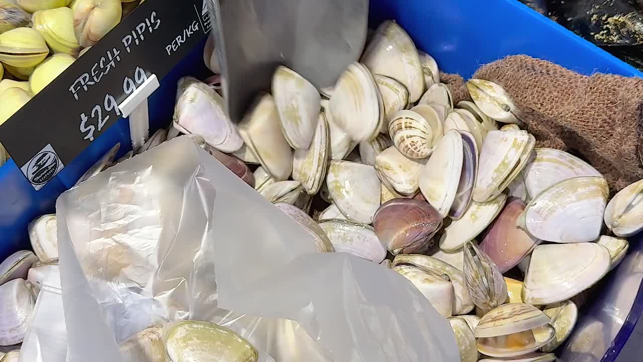 고객은 플라스틱 가방에 조개를 넣습니다.