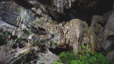 Small-limestone-cave-entrance-pan-shot