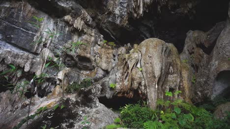 small limestone cave entrance pan shot