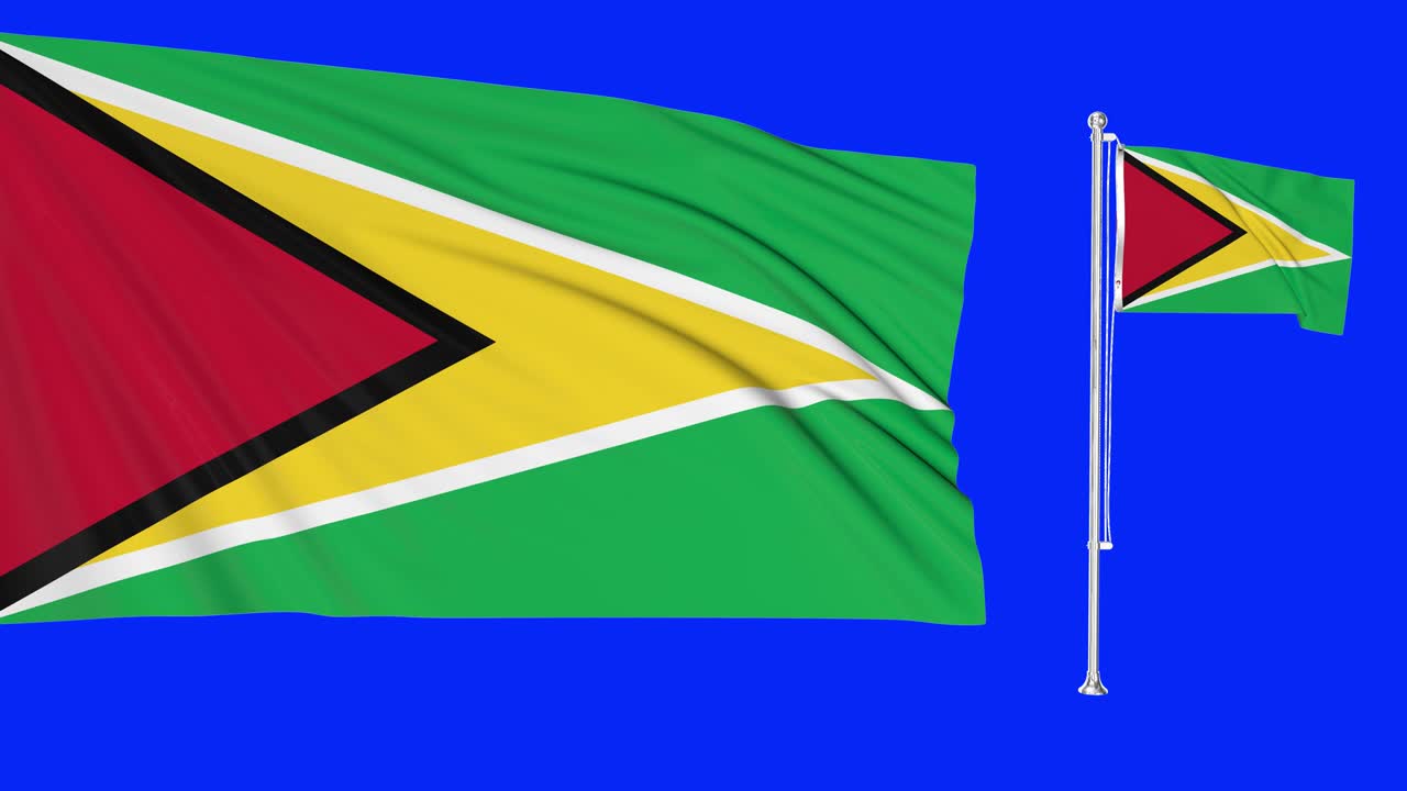 그린 스크린 기아나 2개의 발을 흔들고 기아나 발 기둥 애니메이션 3d 크로마 키