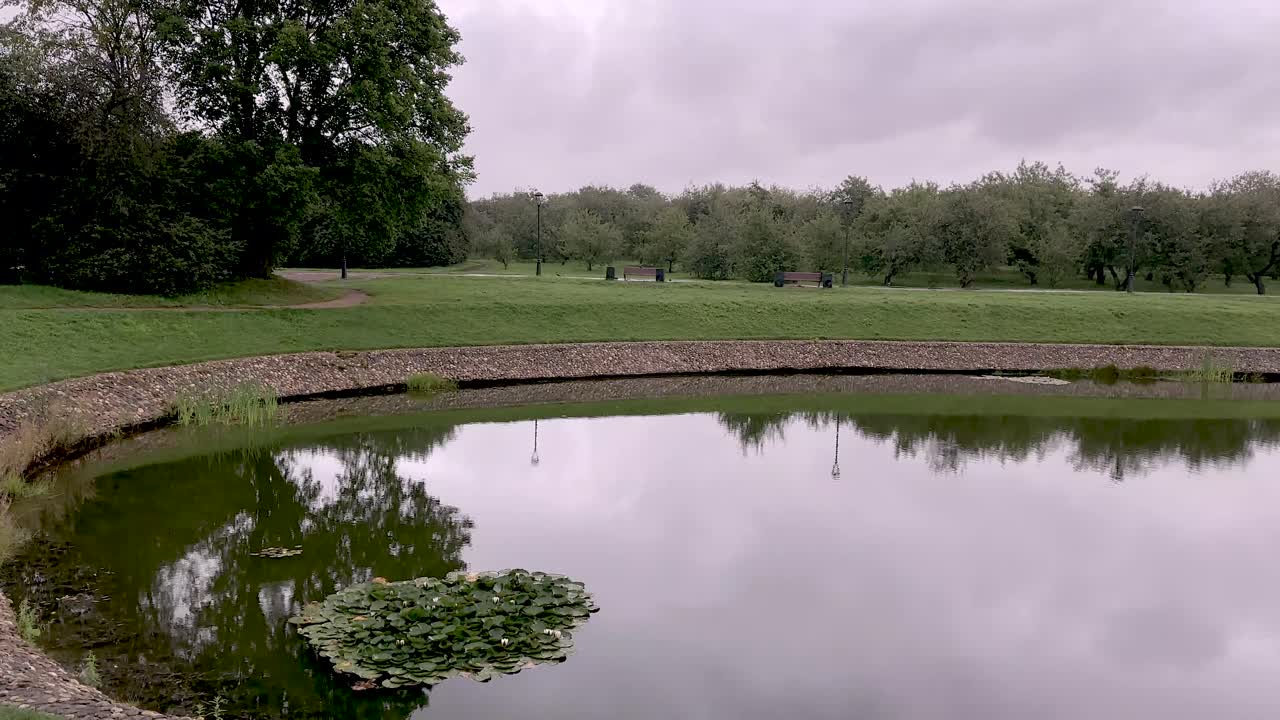 Pond in the park in the quiet and deserted weather of August (4K60)