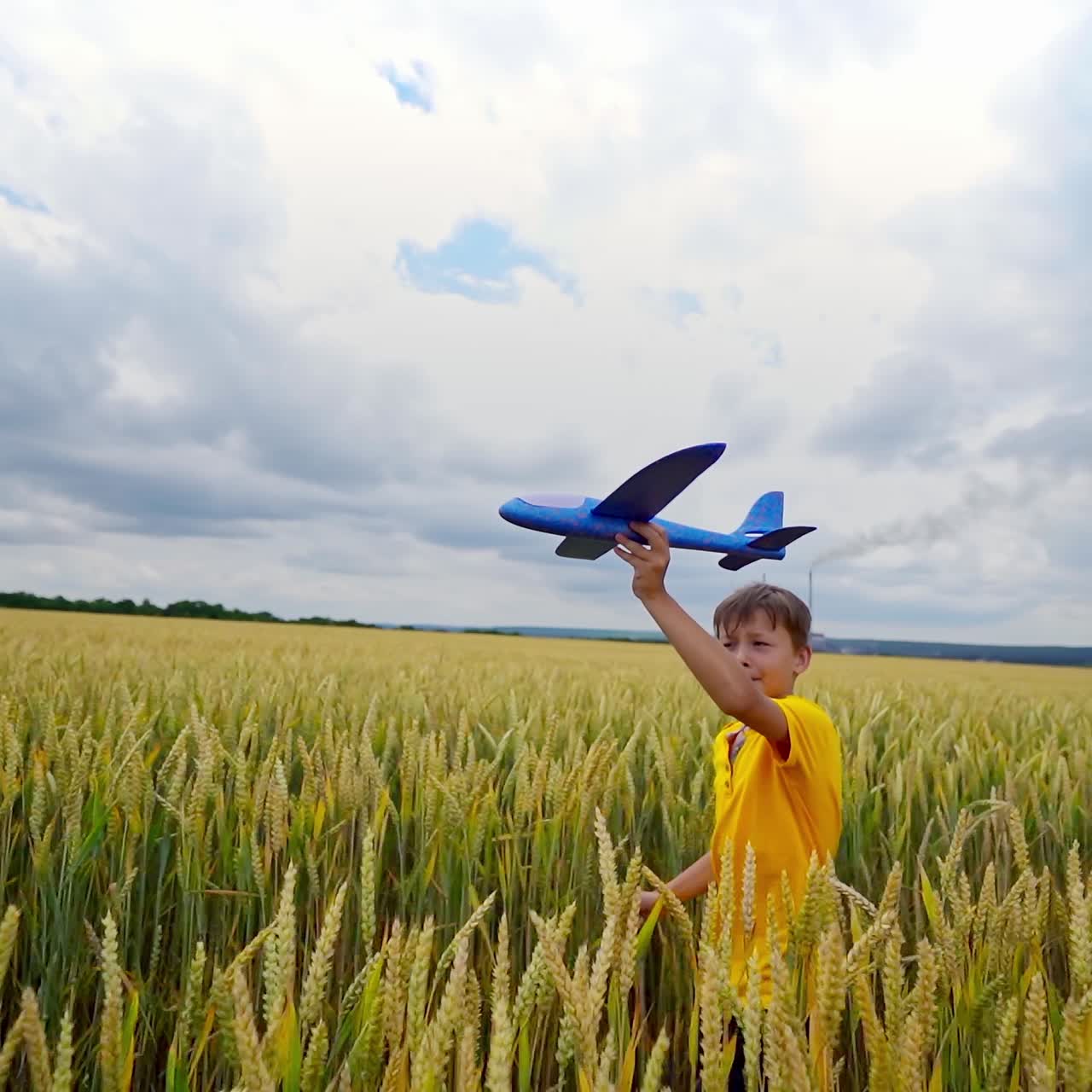 Little boy on agriculture landscape. Child in yellow t-shirt walking in the field with a toy plane in his hand imitating flight. Kid among agricultural plants in summer.