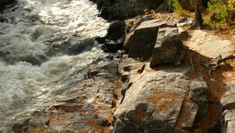 end of the day light shines on natural river setting in north america