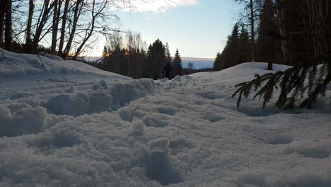 Silhouette-Des-Jungen-Erwachsenen-Skilanglaufs-In-Der-Nordischen-Landschaft